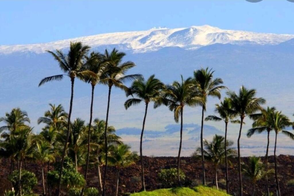 Kilauea Iki- Hale Kumu La'Au Apartment Volcano Exterior foto